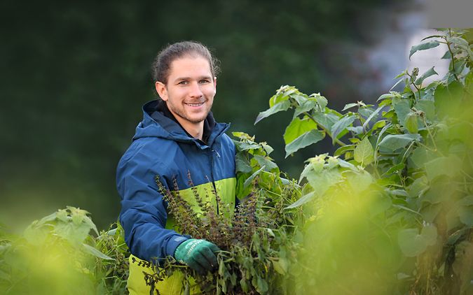 Mann arbeitet im Garten